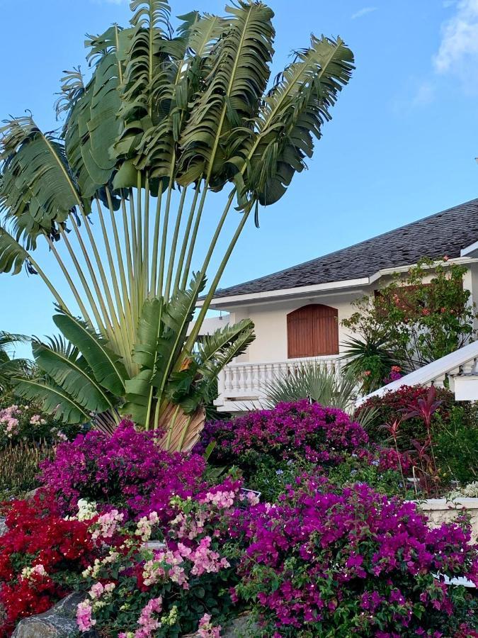 Domaine Saint-Francois Hotel Екстериор снимка